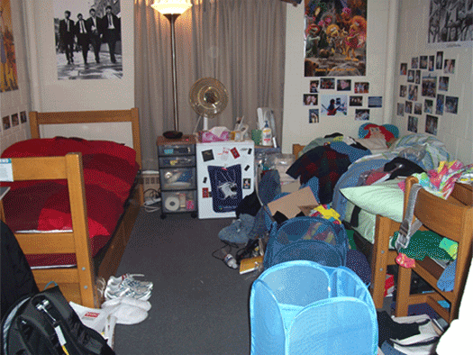 The Messy Room Bril Lia Nce